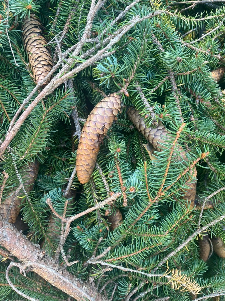 funwari aromatic spray 200ml