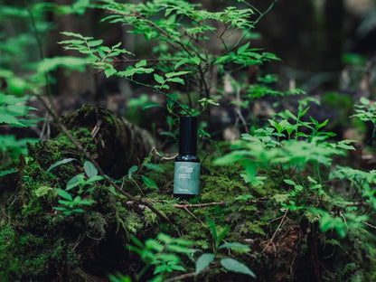 【期間限定販売】aromatic mist - norikura no mori - 30ml