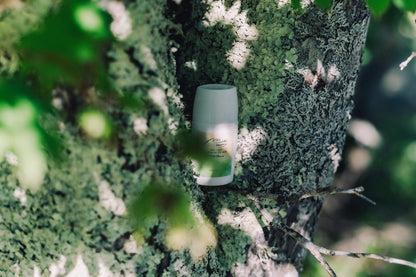 sun - sun oyama no UV milk